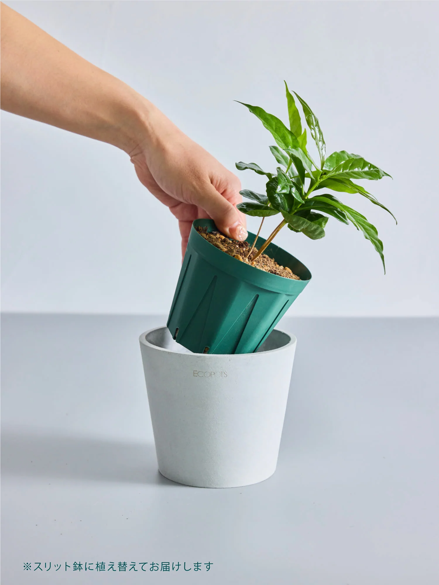 Product image 22